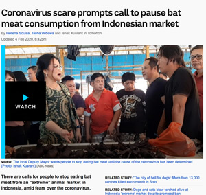 Calls to stop bat meat consumption due to Coronavirus