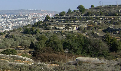 Ancient terraces can be seen in Israel today from 3000 years ago.